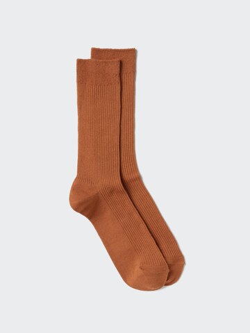 Яркие носки 50