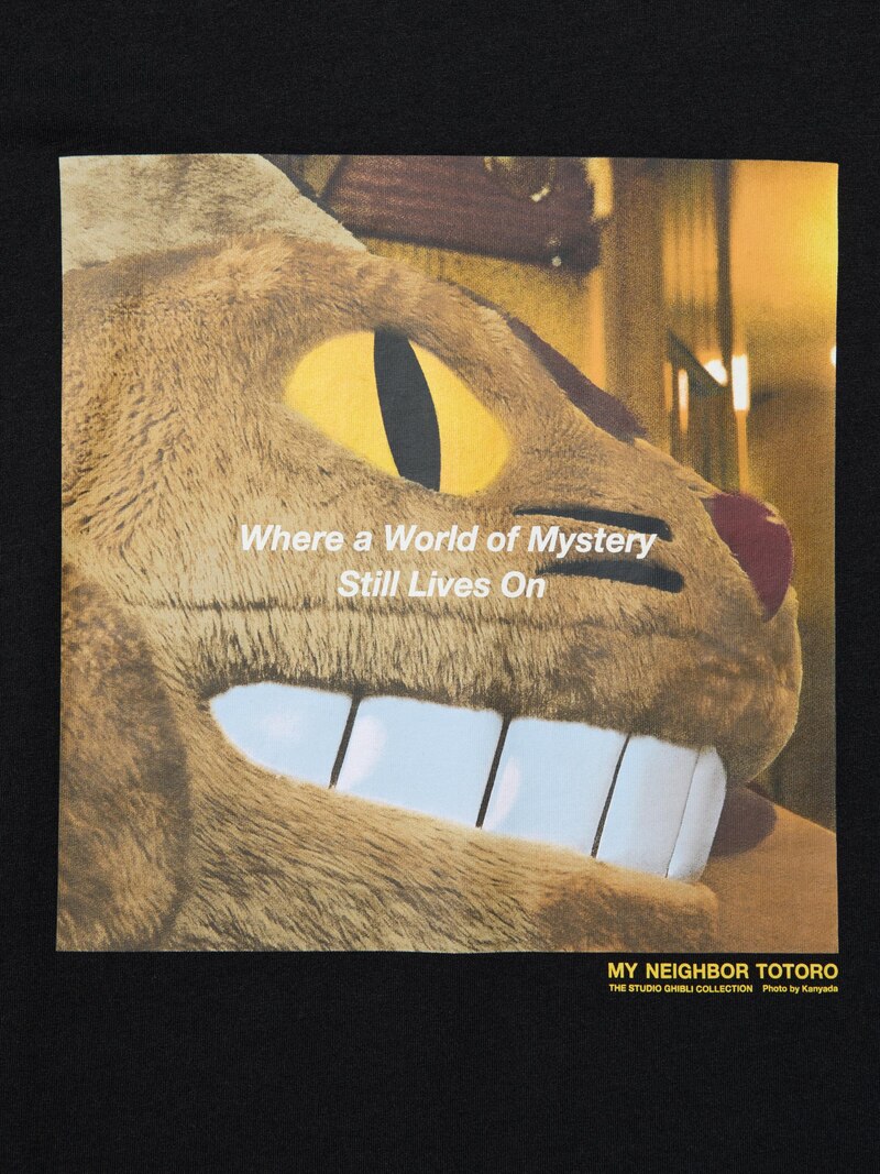 Футболка с графикой studio ghibli ut