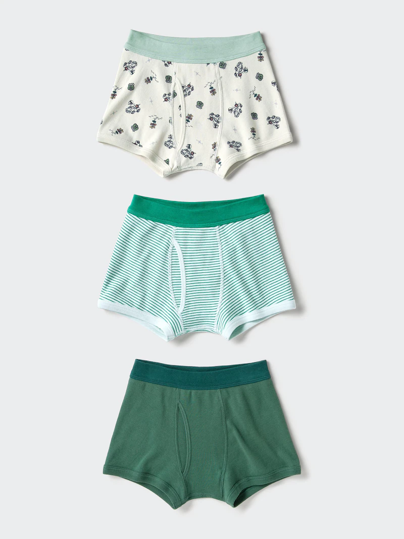 Трусы-боксеры (с рисунком динозавра, 3 штуки)