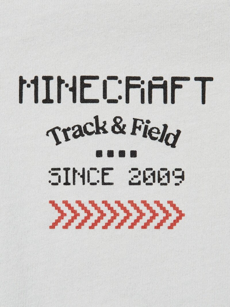Футболка minecraft ut с графикой дракона края