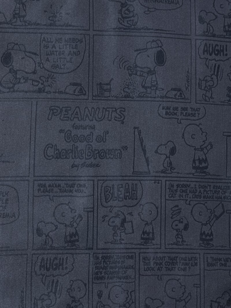 Куртка peanuts coach