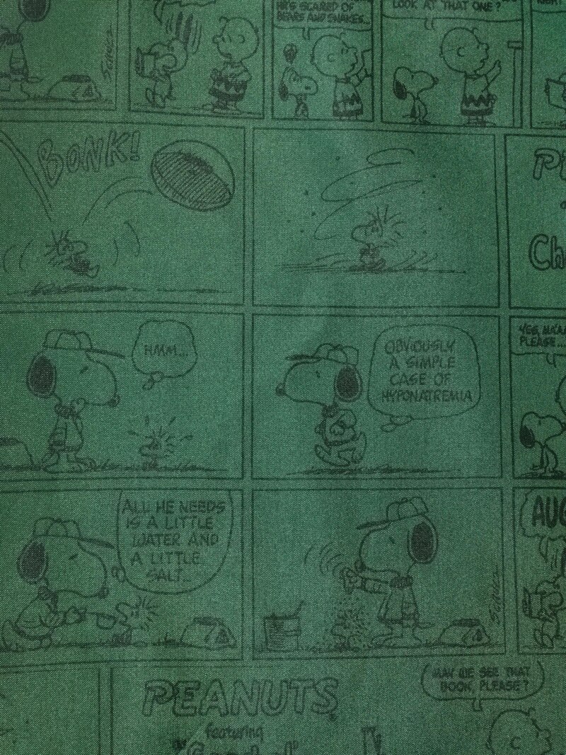 Куртка coach peanuts